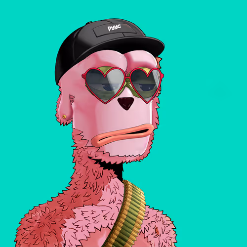 Pepe Y00ts Yc