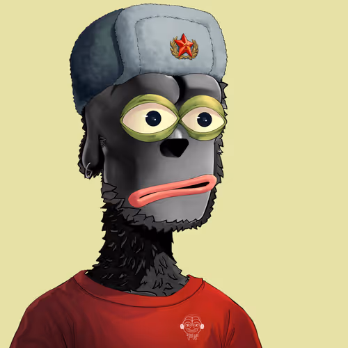 Pepe Y00ts Yc