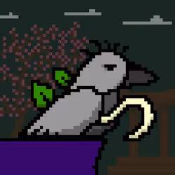 81