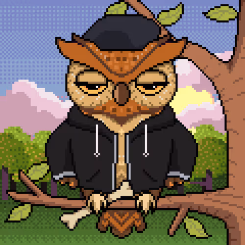 Night Owls Official