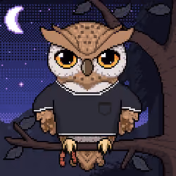 Night Owls #2248