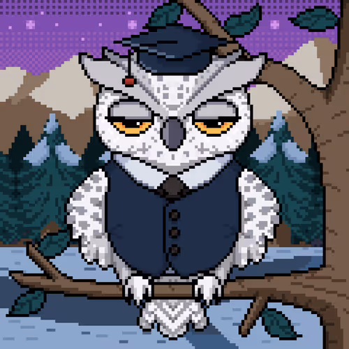 Night Owls Official