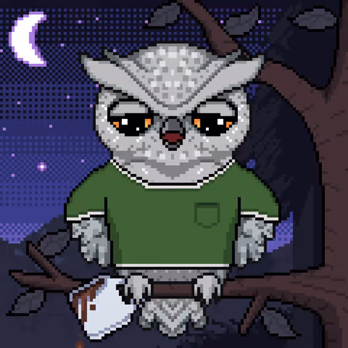 Night Owls Official
