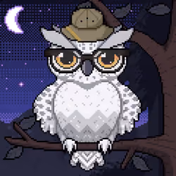 Night Owls #1194