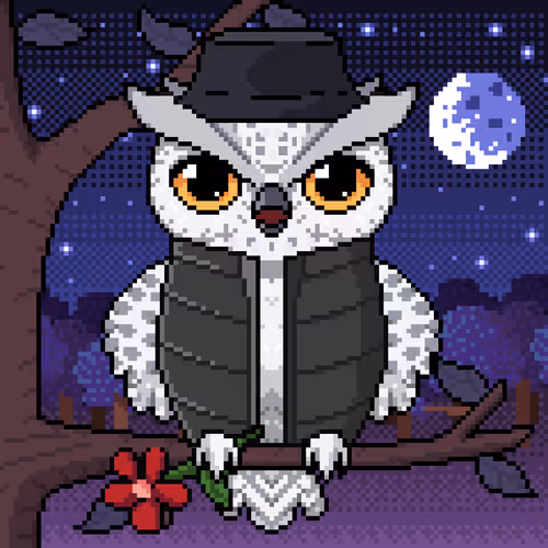 Night Owls Official