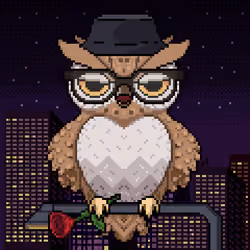 Night Owls #1155