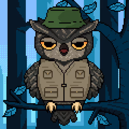 Night Owls #1212