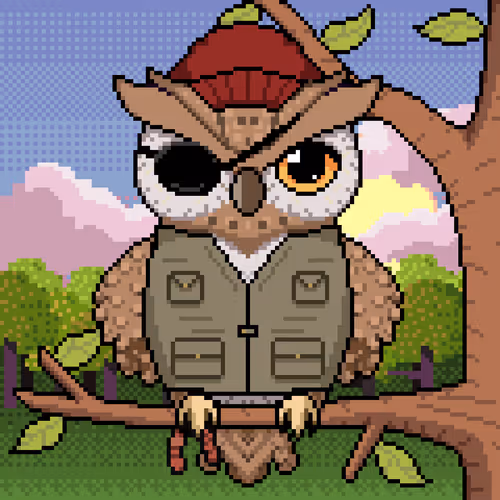 Night Owls Official