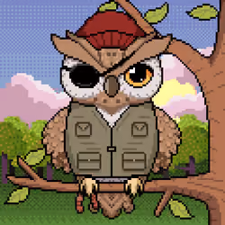 Night Owls #89