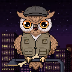Night Owls #123