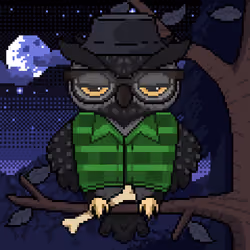 Night Owls #1641