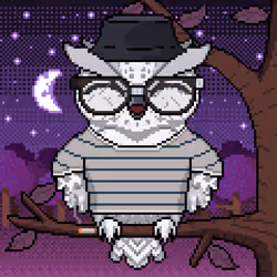 Night Owls #636