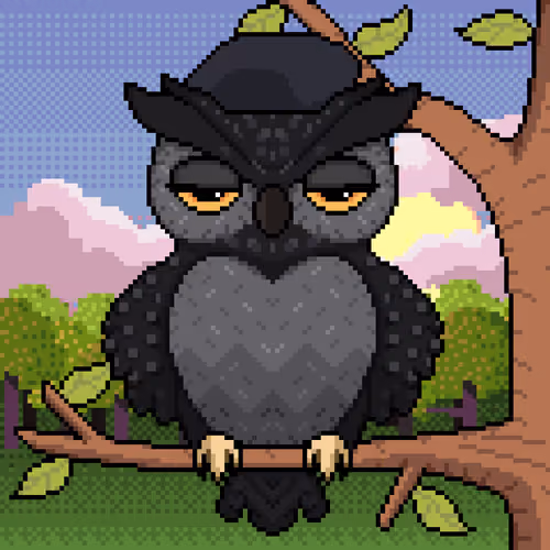 Night Owls #611