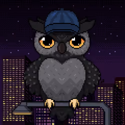 Night Owls #2374