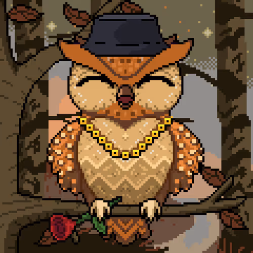 Night Owls Official