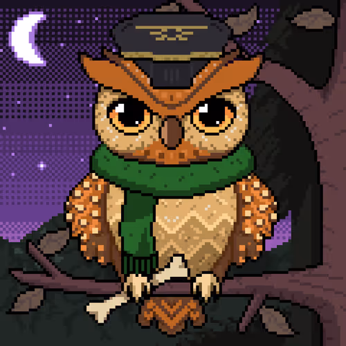 Night Owls Official