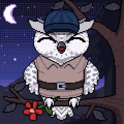 Night Owls Official