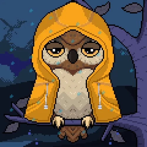 Night Owls Official
