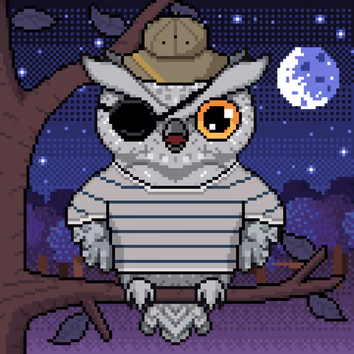Night Owls Official