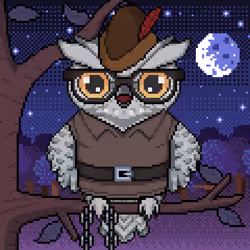 Night Owls #2229