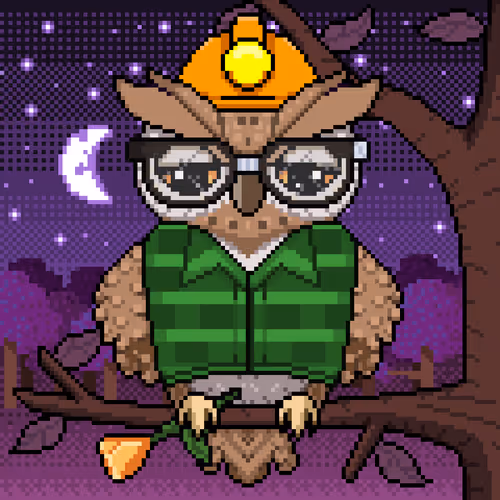 Night Owls Official