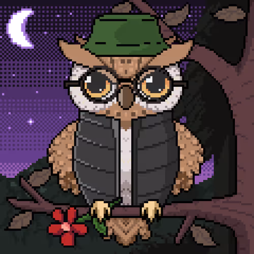 Night Owls Official