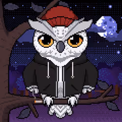 Night Owls #1276