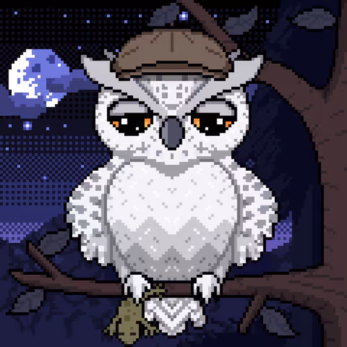 Night Owls Official