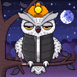 Night Owls #1654