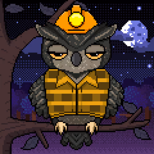 Night Owls Official