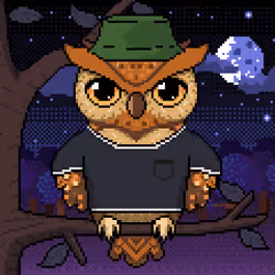 Night Owls #1297