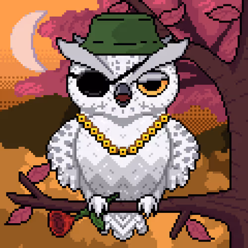 Night Owls Official