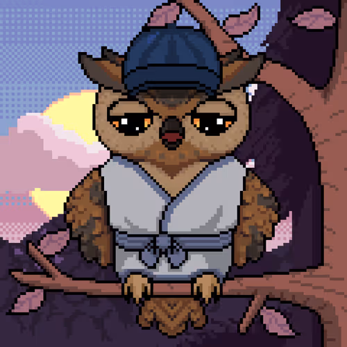 Night Owls Official