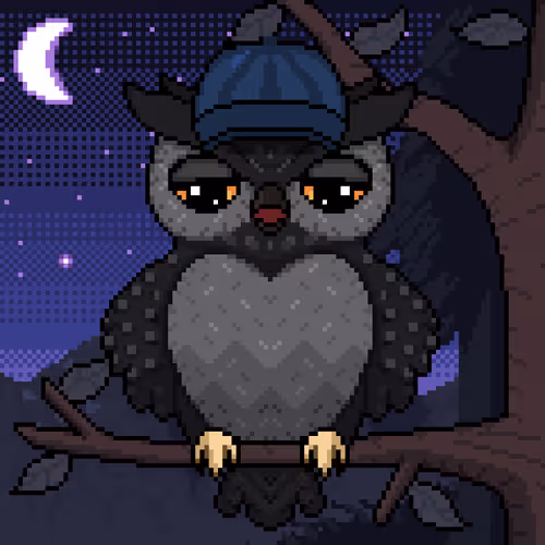 Night Owls Official