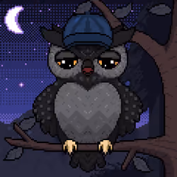 Night Owls #2311