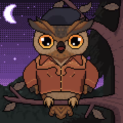 Night Owls Official