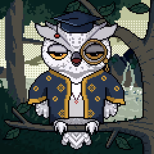 Night Owls Official
