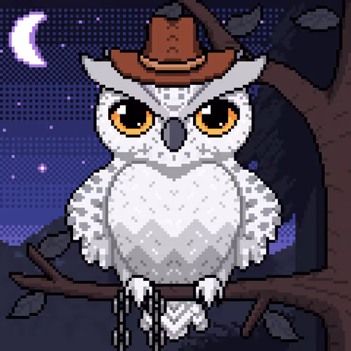 Night Owls Official