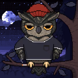 Night Owls #2325