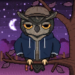 Night Owls #1651