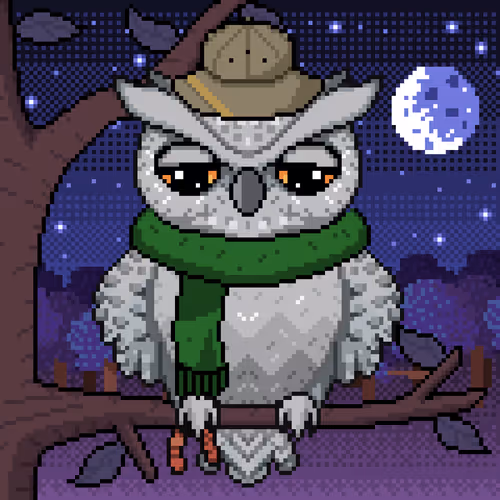 Night Owls Official