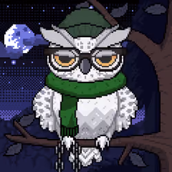 Night Owls #2193