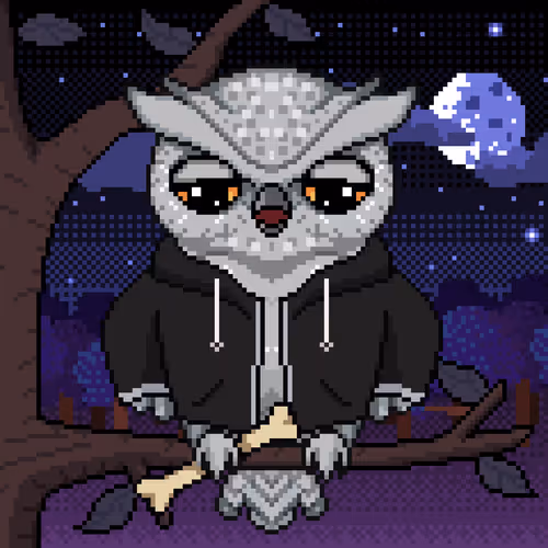 Night Owls Official