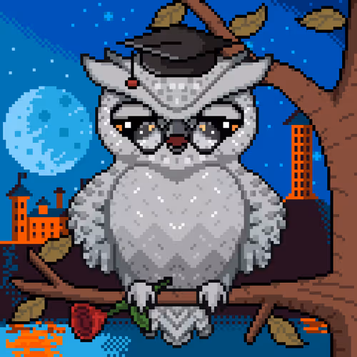 Night Owls #2216