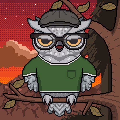 Night Owls Official