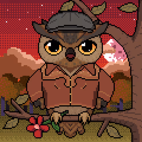 Night Owls Official