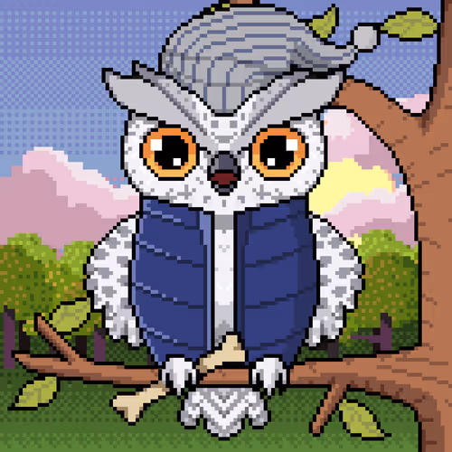 Night Owls Official