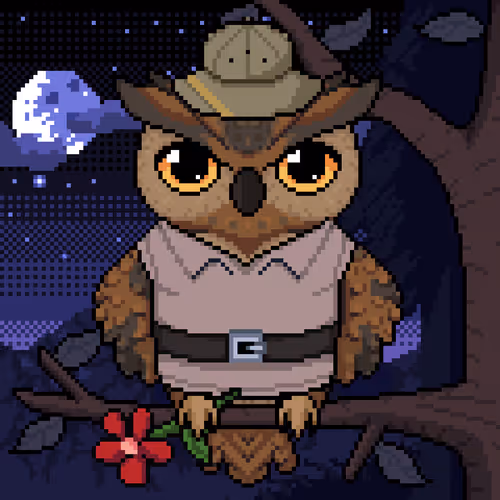 Night Owls Official