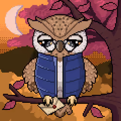Night Owls #136