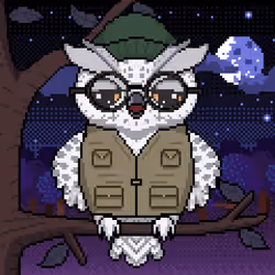 Night Owls #2347